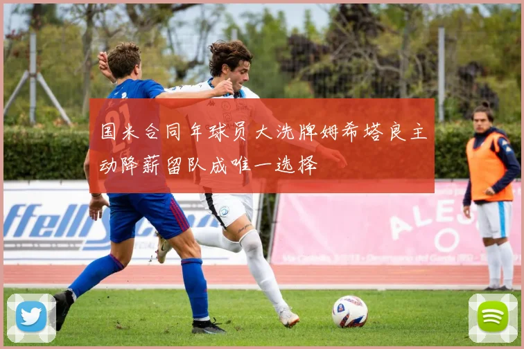 国米合同年球员大洗牌姆希塔良主动降薪留队成唯一选择