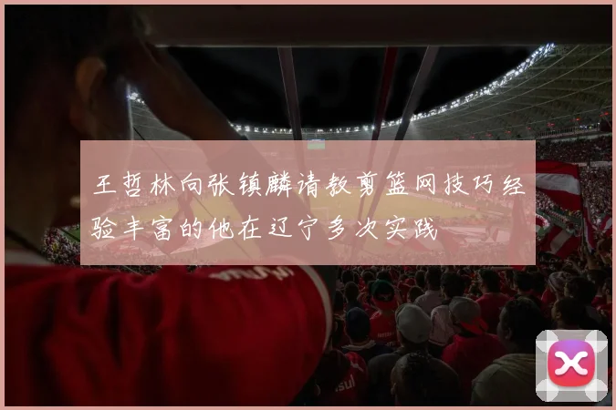 王哲林向张镇麟请教剪篮网技巧经验丰富的他在辽宁多次实践