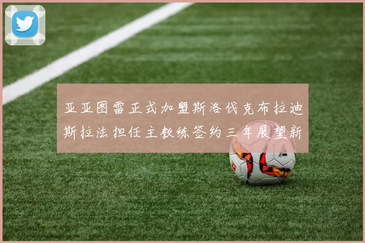 亚亚图雷正式加盟斯洛伐克布拉迪斯拉法担任主教练签约三年展望新篇章