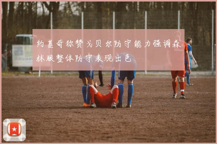 约基奇称赞戈贝尔防守能力强调森林狼整体防守表现出色